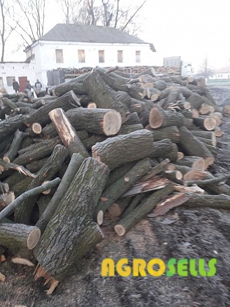 Продамо дрова паливні твердих порід деревини