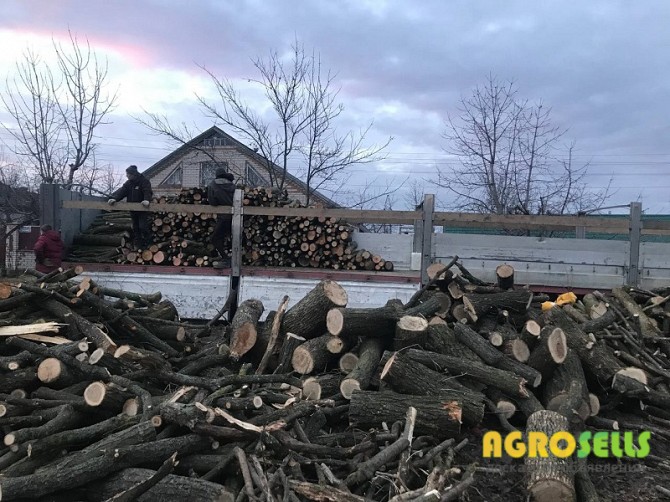 Продамо дрова паливні твердих порід деревини