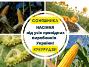 пропонуємо посівний матеріал соняшника, кукурудзи, ріпаку