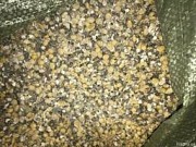Куплю зерновідходи кукурудзи та половинки сої.
