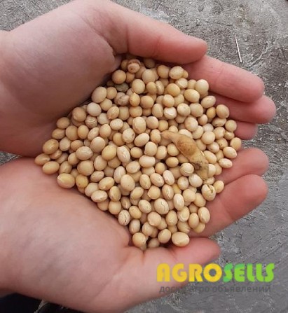 Половинки сої куплю. Відходи кукурудзи куплю