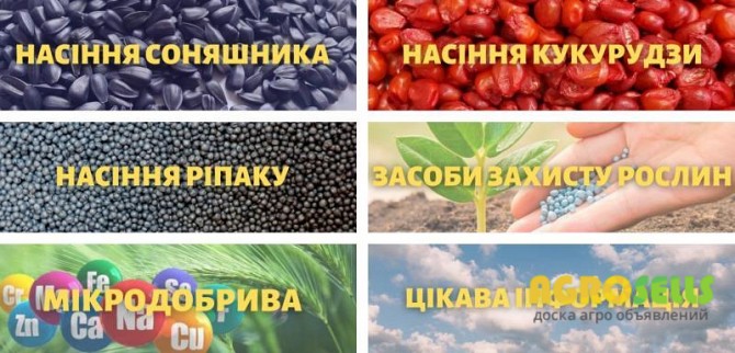 Відкрийте світ високоякісного насіння та ЗЗР з TK Agro Seeds