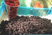 Продам шелковицу сладкую в Луганске