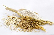 Купуємо ОВЕС плівчастий