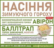 Реалізуємо насіння озимого гороху Авірон, Баллтрап