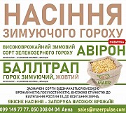 Насіння озимого гороху Авірон, Баллтрап