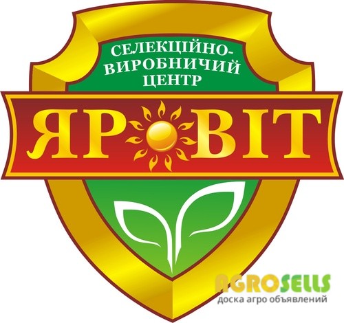 Якісне насіння. Пшениця, горох, просо, гречка, кукурудза.