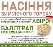 Посівний матеріал зимуючого гороху Баллтрап, Авірон