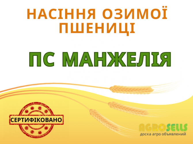 Озима пшениця, еліта, сертифікована
