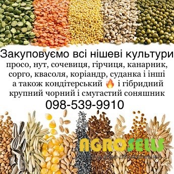 Просо закуповуємо та всі нішеві культури!