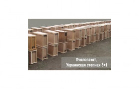 Пчелопакеты Украинской Степной породы 3+1