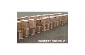 Пчелопакет, Карника 3+1