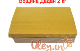 Вощина «Дадан (300)» 2кг. (Сертифицированная)