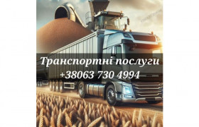 Зерновоз. Перевезення зерна.