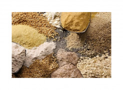 Куплю зернові та олійні культури