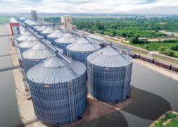 Куплю кукурудзу 300 т + на експорт