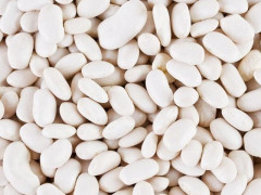 Асортимент квасолі для гуртових закупівель